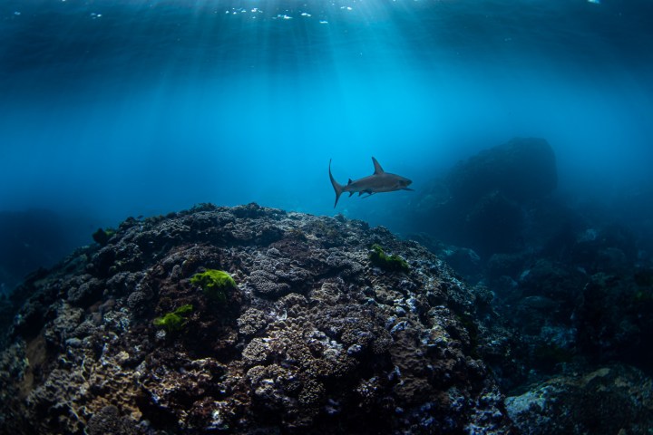 a large body of water