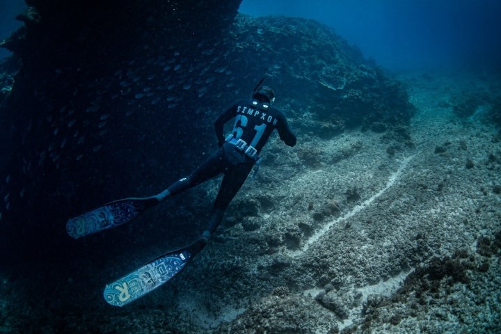 a person near a coral