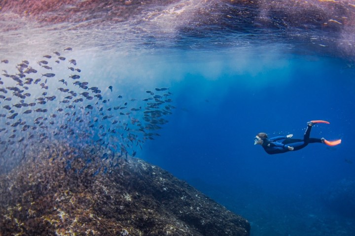 a man swimming in a body of water