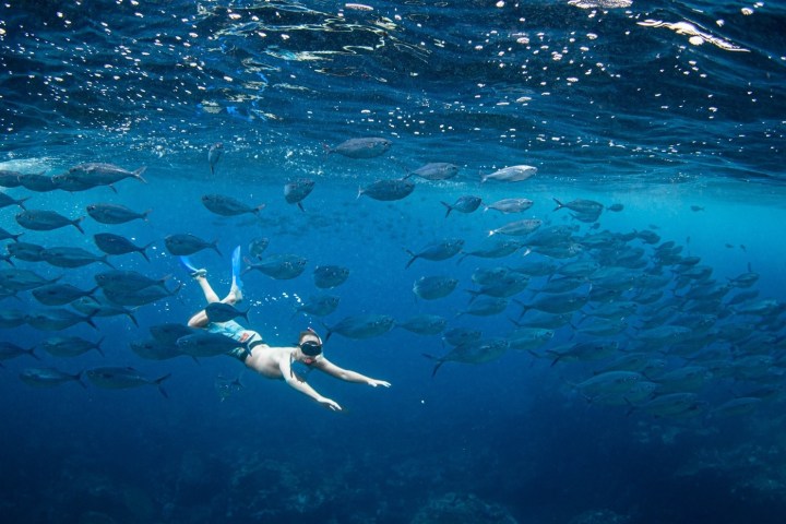 a man swimming in the water
