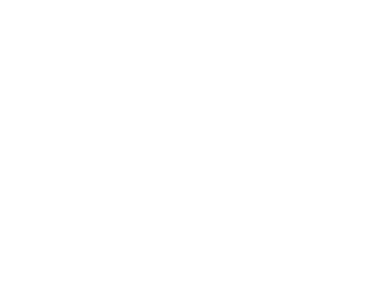 Reef N Beyond Eco Tours Lord Howe Island