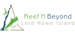 Reef N Beyond Eco Tours