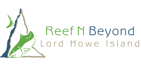 Reef N Beyond Eco Tours Lord Howe Island