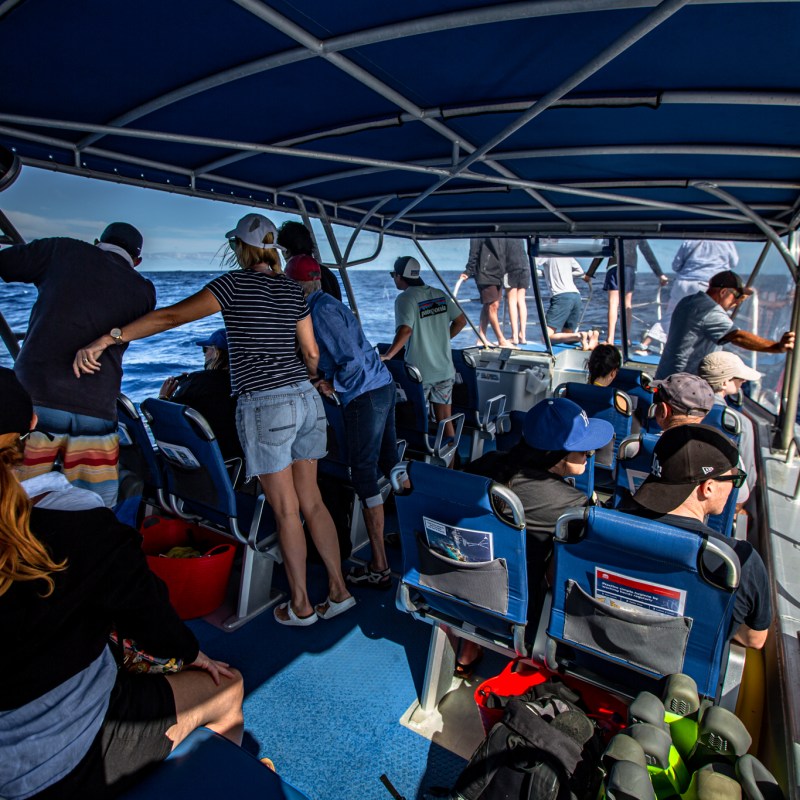 a group of people on a boat