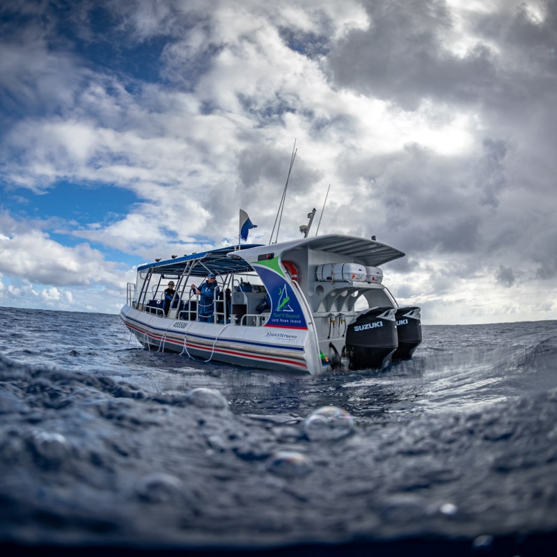a close up of a boat