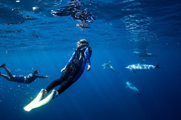 a group of people swimming in a body of water