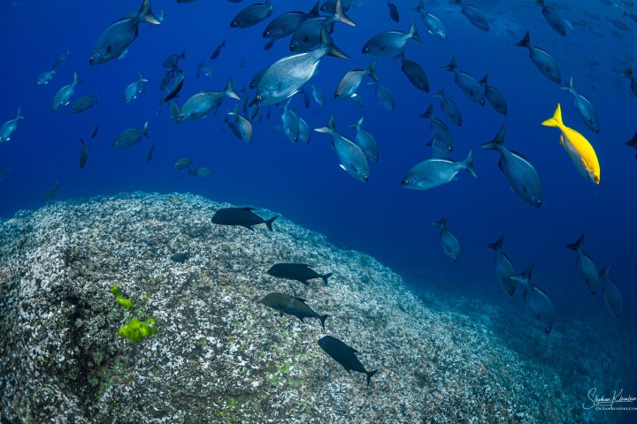 a group of people are underwater