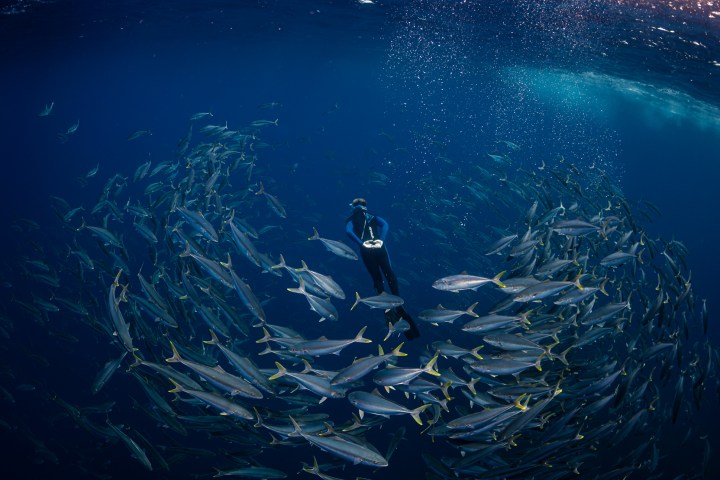 underwater view of the water