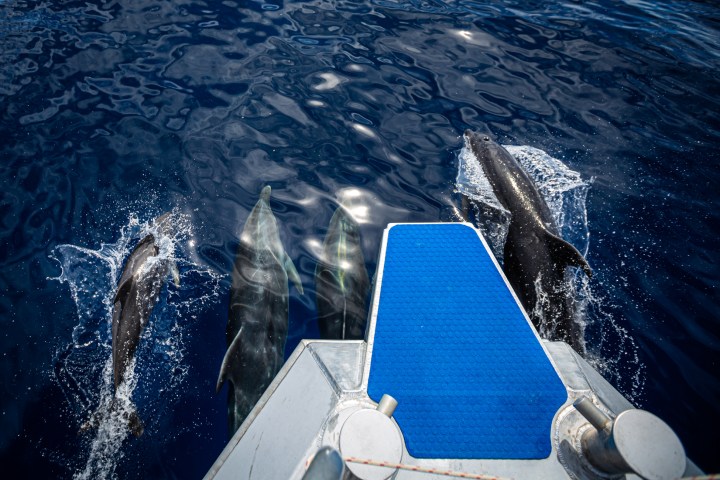 a view of the earth from space