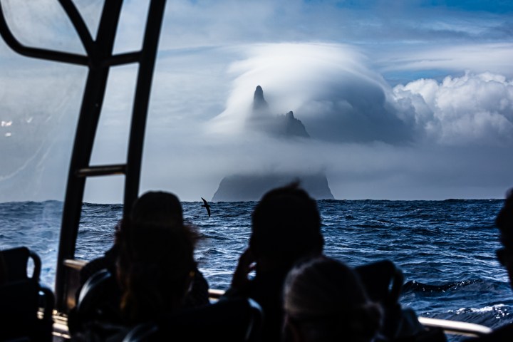 a group of people looking at a body of water