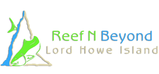 Reef N Beyond Eco Tours